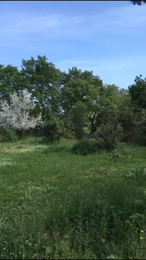 Il Casale Del Popolo Villa Barbarano Romano Exteriör bild